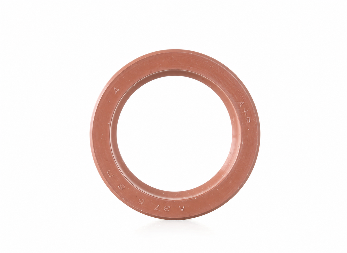 Lamborghini Oil Seal — 008613702