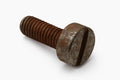 100184 - Screw