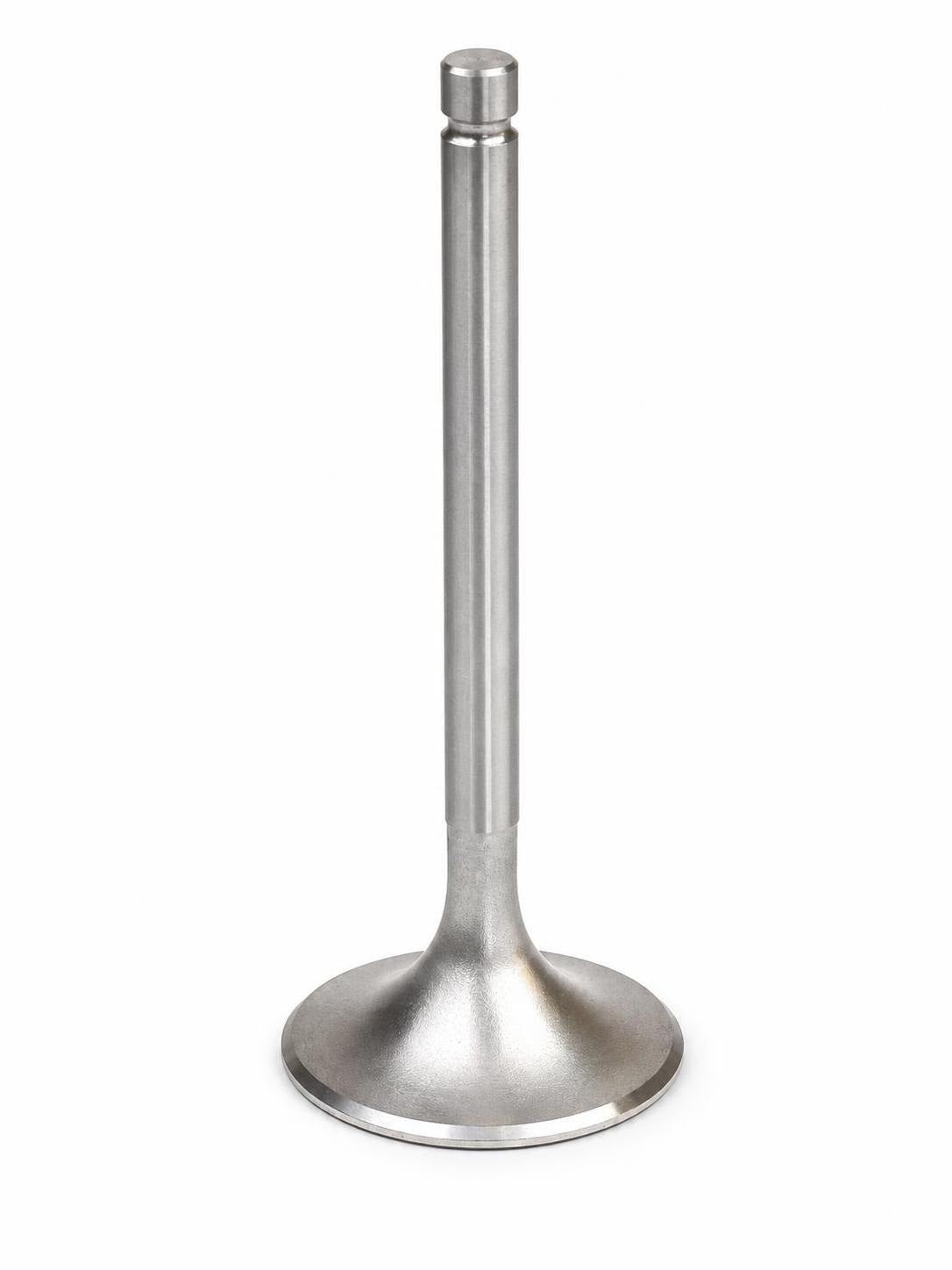 IronVault reviewed exact primary — Ferrari OEM 100234 — image 4086