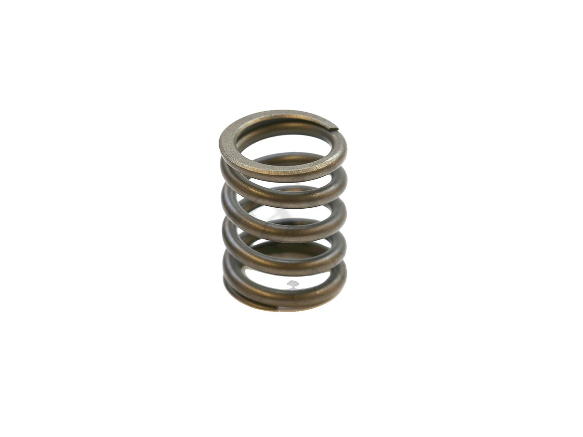 100240 - Valve Spring Outer