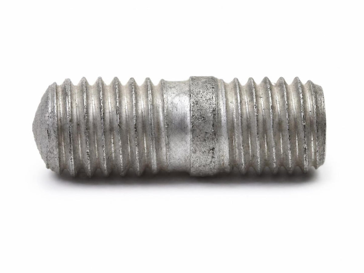 IronVault reviewed exact primary — Ferrari OEM 100438 — image 4384