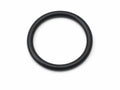 101034 - O-Ring