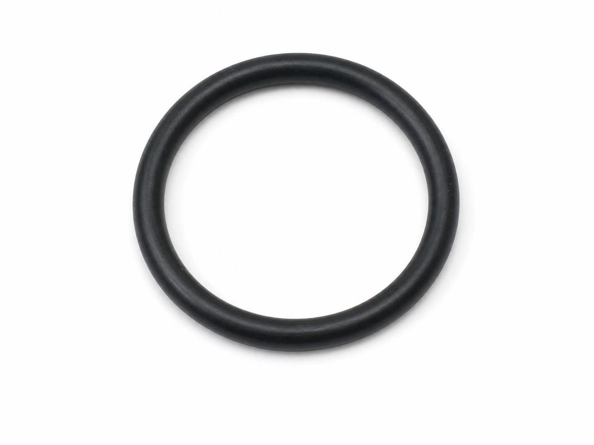101034 - O-Ring