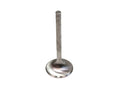 102662 - Inlet Valve
