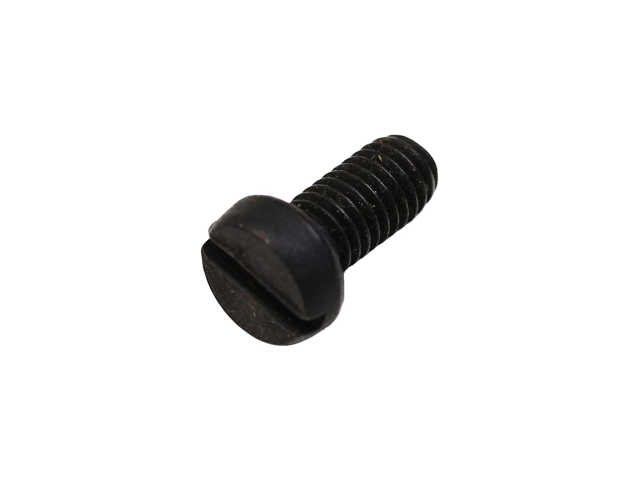 10389377 - Screw