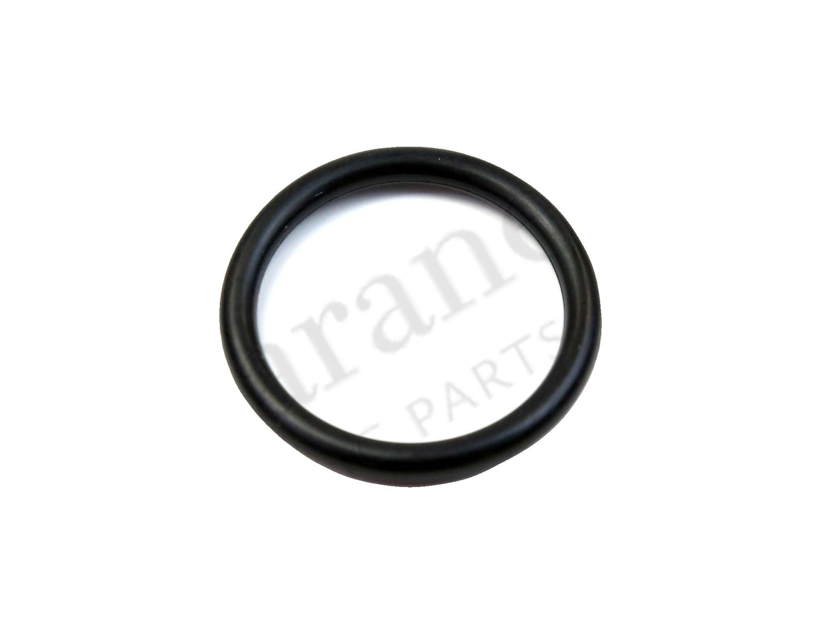 105556 - O-Ring Seal