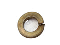 10571571 - 6mm Spring Washer