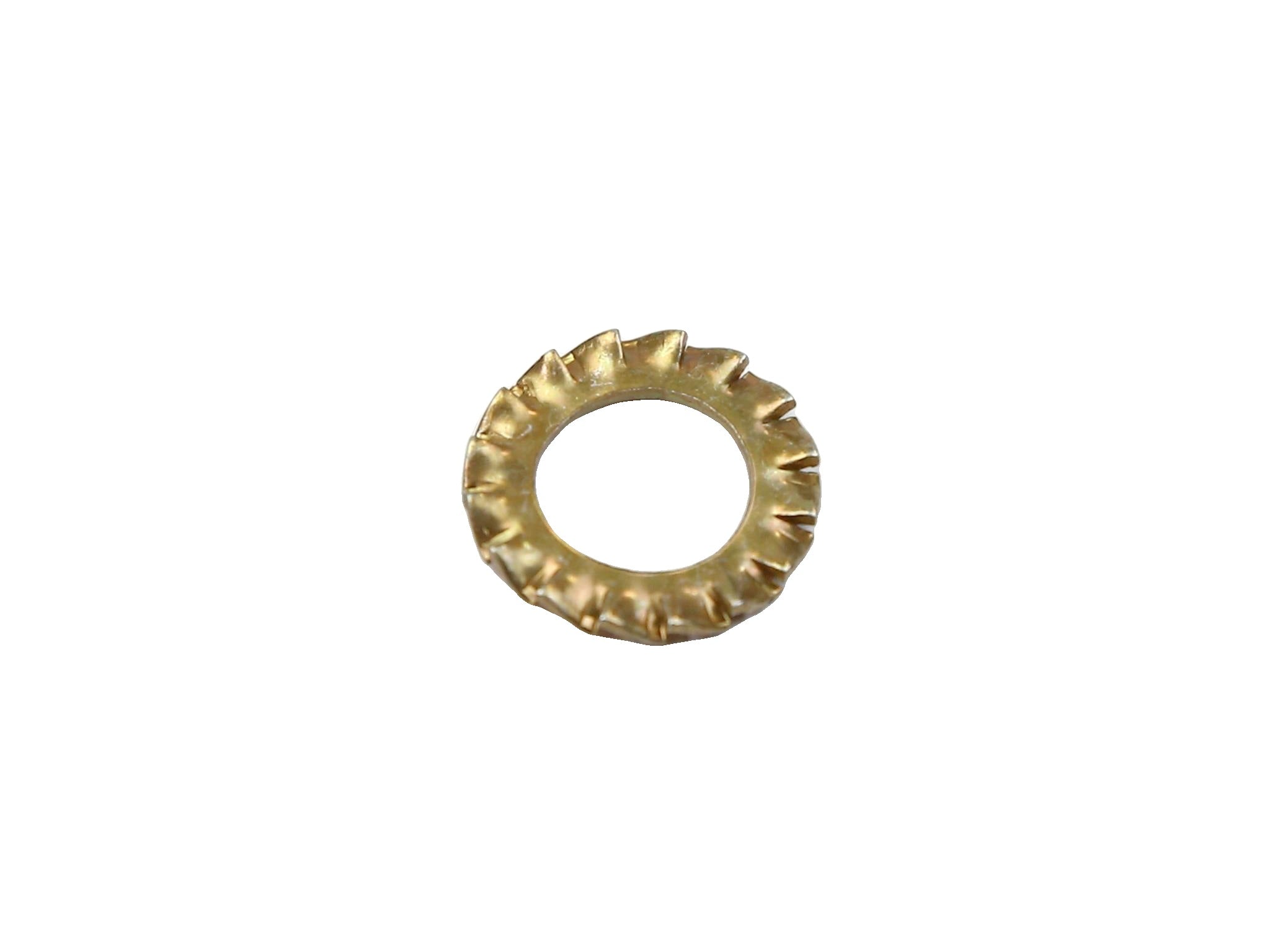 10615779 - Shakeproof Washer