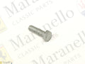 10977824 - Screw