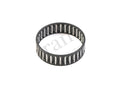 109935 - Caged Needle Bearing