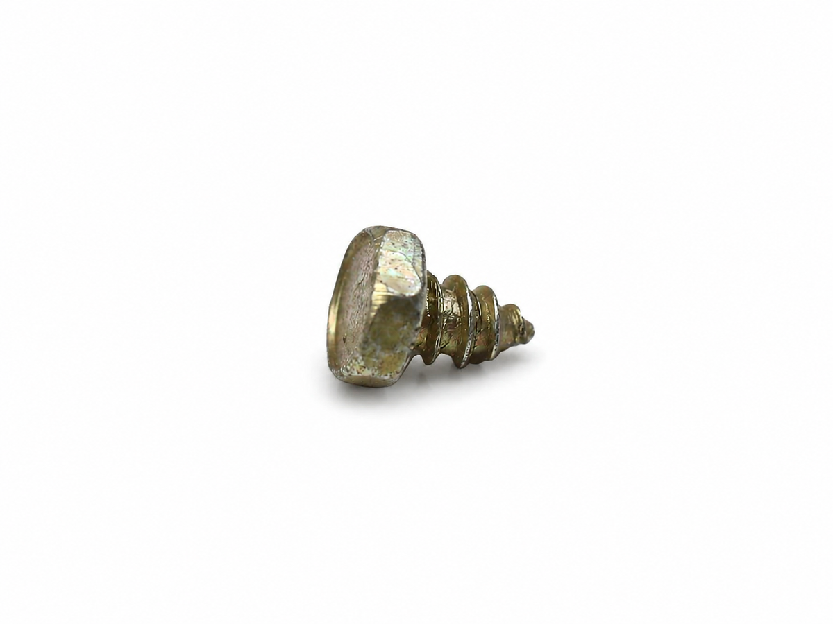 110106 - Screw