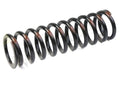 110785 - Rear Road Spring GTB