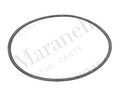 111285/A - Polyflex Belt