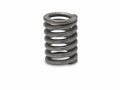 111743/A - Exhaust Bracket Spring