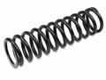 112876 - Front Road Spring GTS — OEM 112876