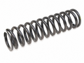 113039 - Rear Road Spring GTS — OEM 113039