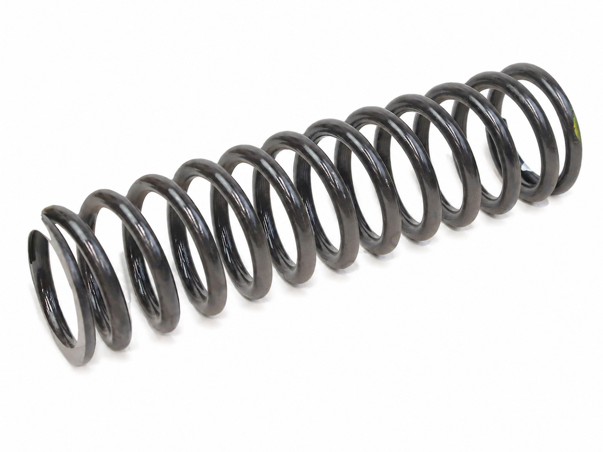 113039 - Rear Road Spring GTS — OEM 113039