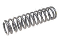 113039 - Rear Road Spring GTS