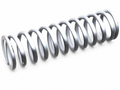 113055 - Rear Suspension Spring