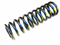 113516 - Front Road Spring GTB — OEM 113516