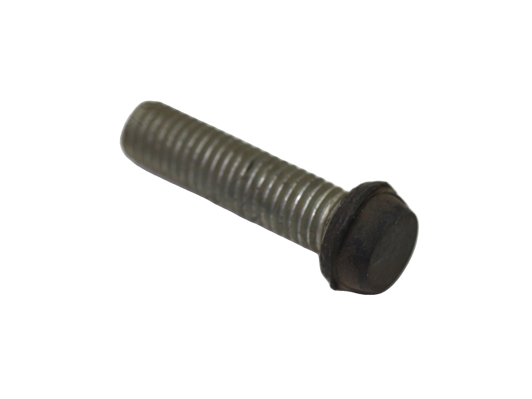 116527 - Screw
