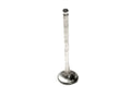 Ferrari 308 308Qv Exhaust Valve Comp Only — OEM 117364/4