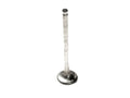 117364/4 - 308Qv Exhaust Valve Comp Only