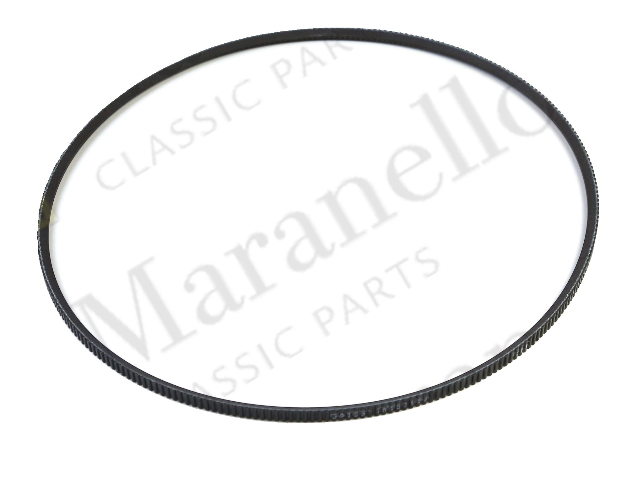 117435 - Pump Belt 950mm