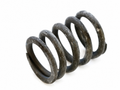 Ferrari Outer Valve Spring — OEM 117559