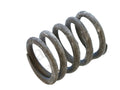 117559 - Outer Valve Spring