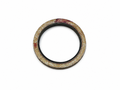 Ferrari Gasket — OEM 117884