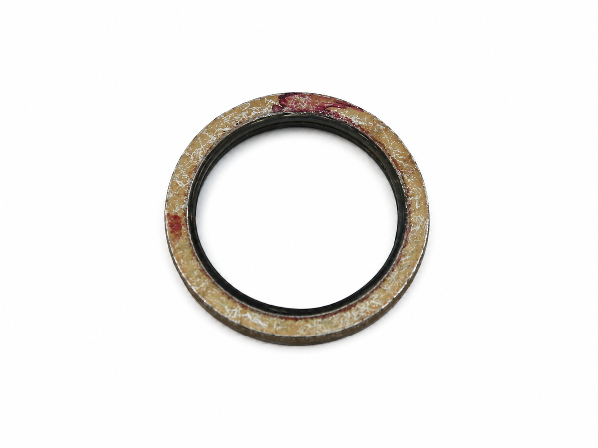 Ferrari Gasket — OEM 117884