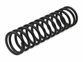 Ferrari Rear Road Spring — OEM 118233
