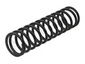 118233 - Rear Road Spring