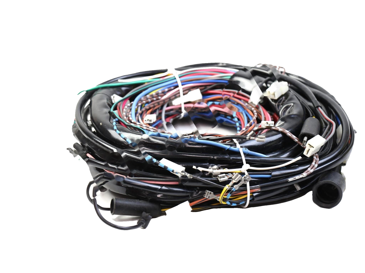 IronVault free local LaMa exact primary — Ferrari OEM 119006