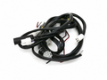 Ferrari RH Wiring Loom — OEM 119505 on white background