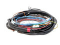 119517 - RH Cable