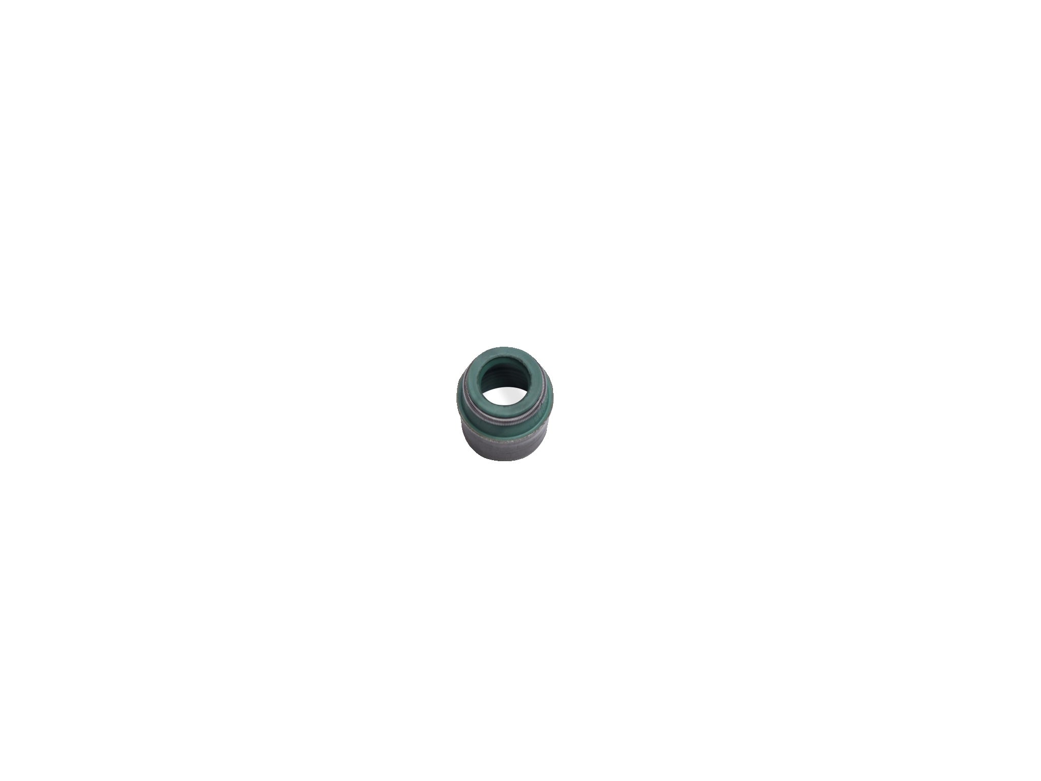 119766/A - Valve Stem Oil Seal