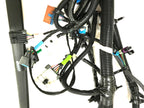 Fits 1999-2000 Chevrolet Corvette Transmission wiring harness, Part # 12189914