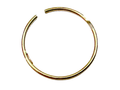 IronVault free local LaMa exact primary — Ferrari OEM 123110