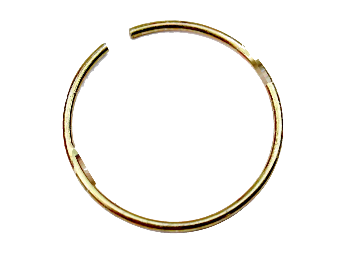 IronVault free local LaMa exact primary — Ferrari OEM 123110