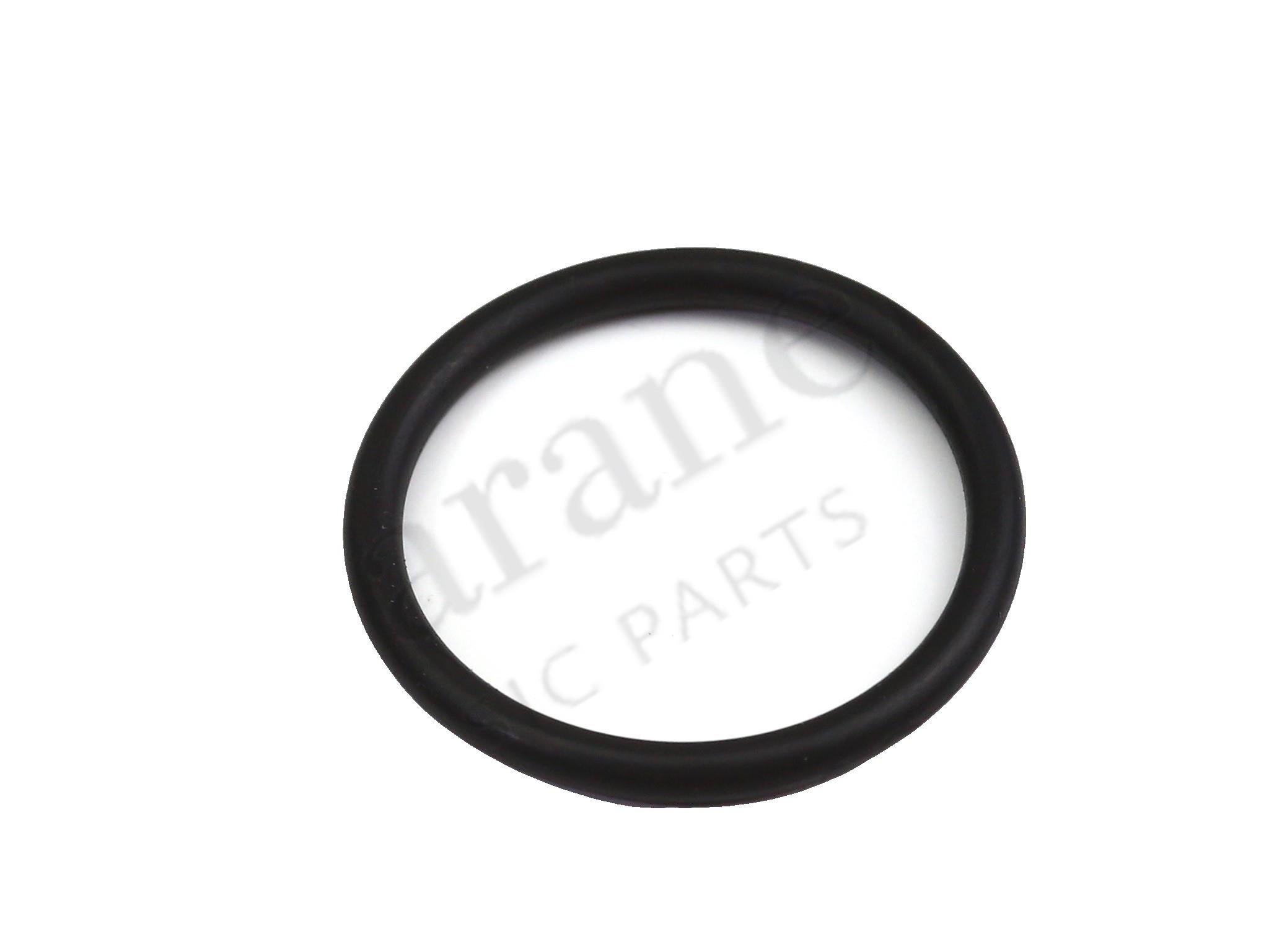 123263 - O-Ring