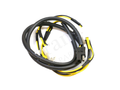 IronVault free local LaMa exact primary — Ferrari OEM 123663
