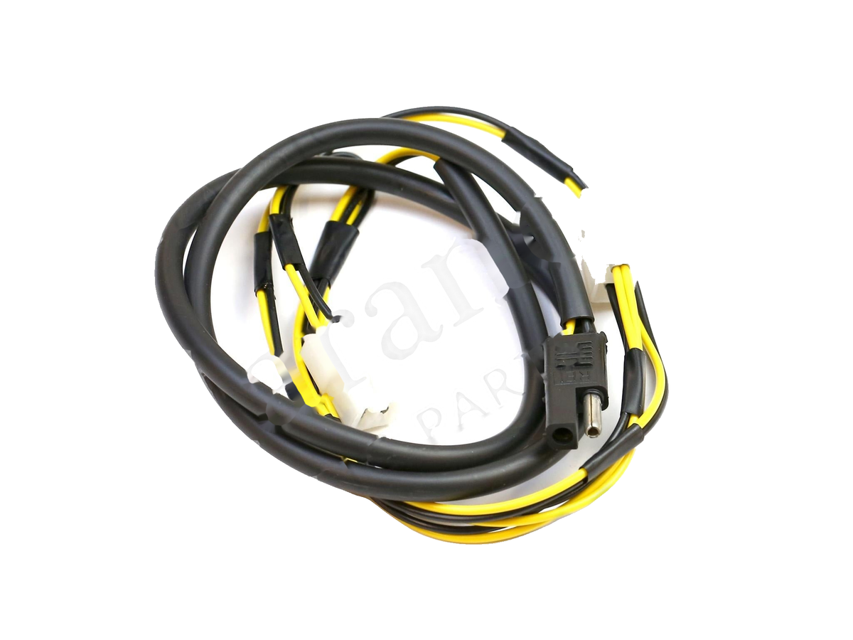 IronVault free local LaMa exact primary — Ferrari OEM 123663