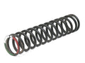 123837 - Rear Road Spring