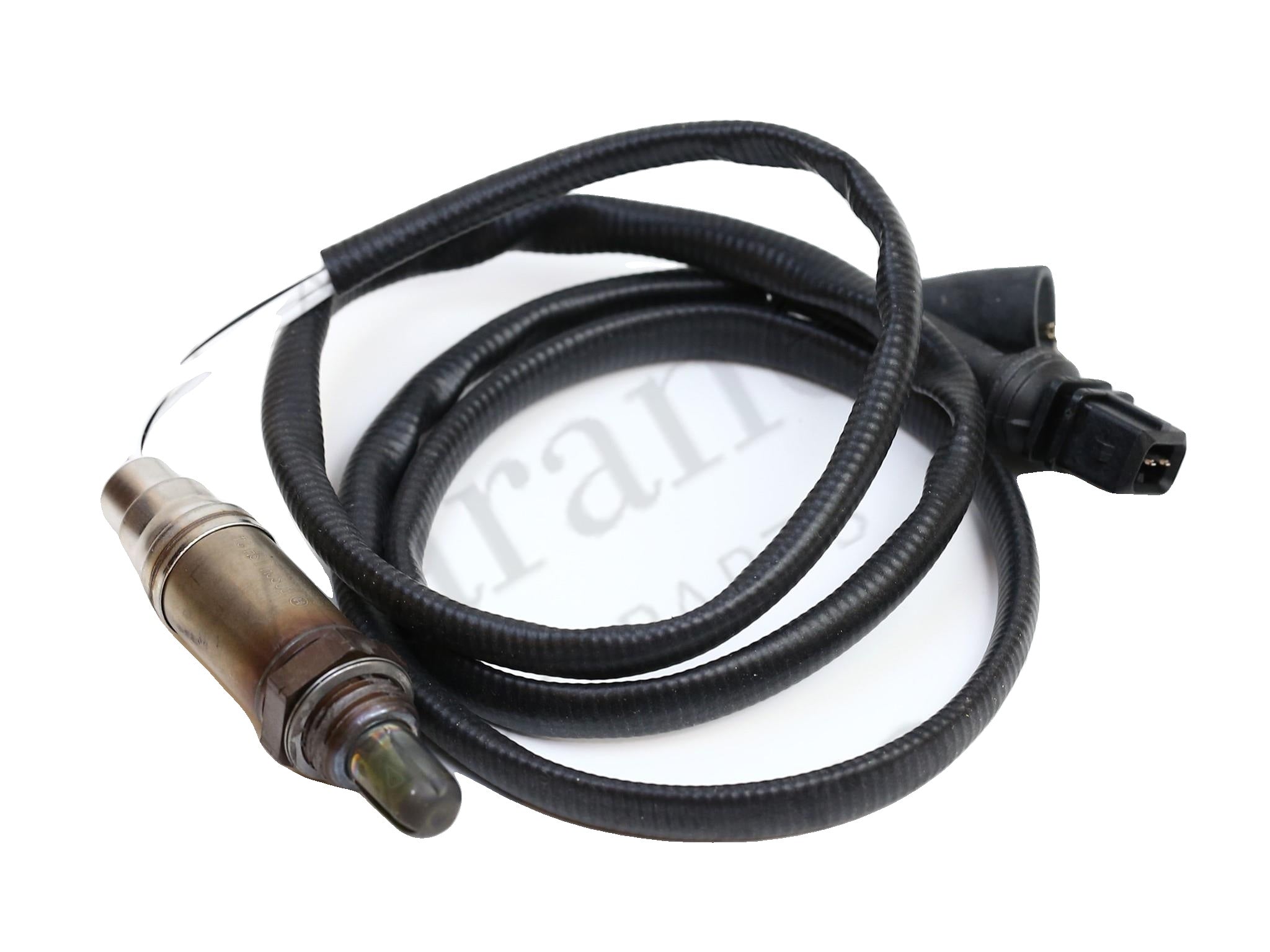 125881 - Oxygen Sensor