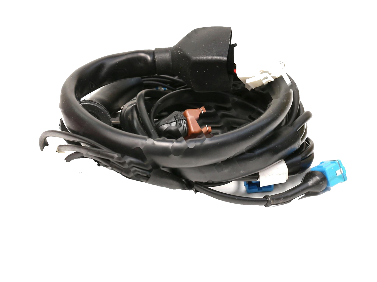 IronVault free local LaMa exact primary — Ferrari OEM 127007