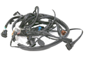 IronVault free local LaMa exact primary — Ferrari OEM 129658