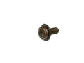 13290077 - Screw