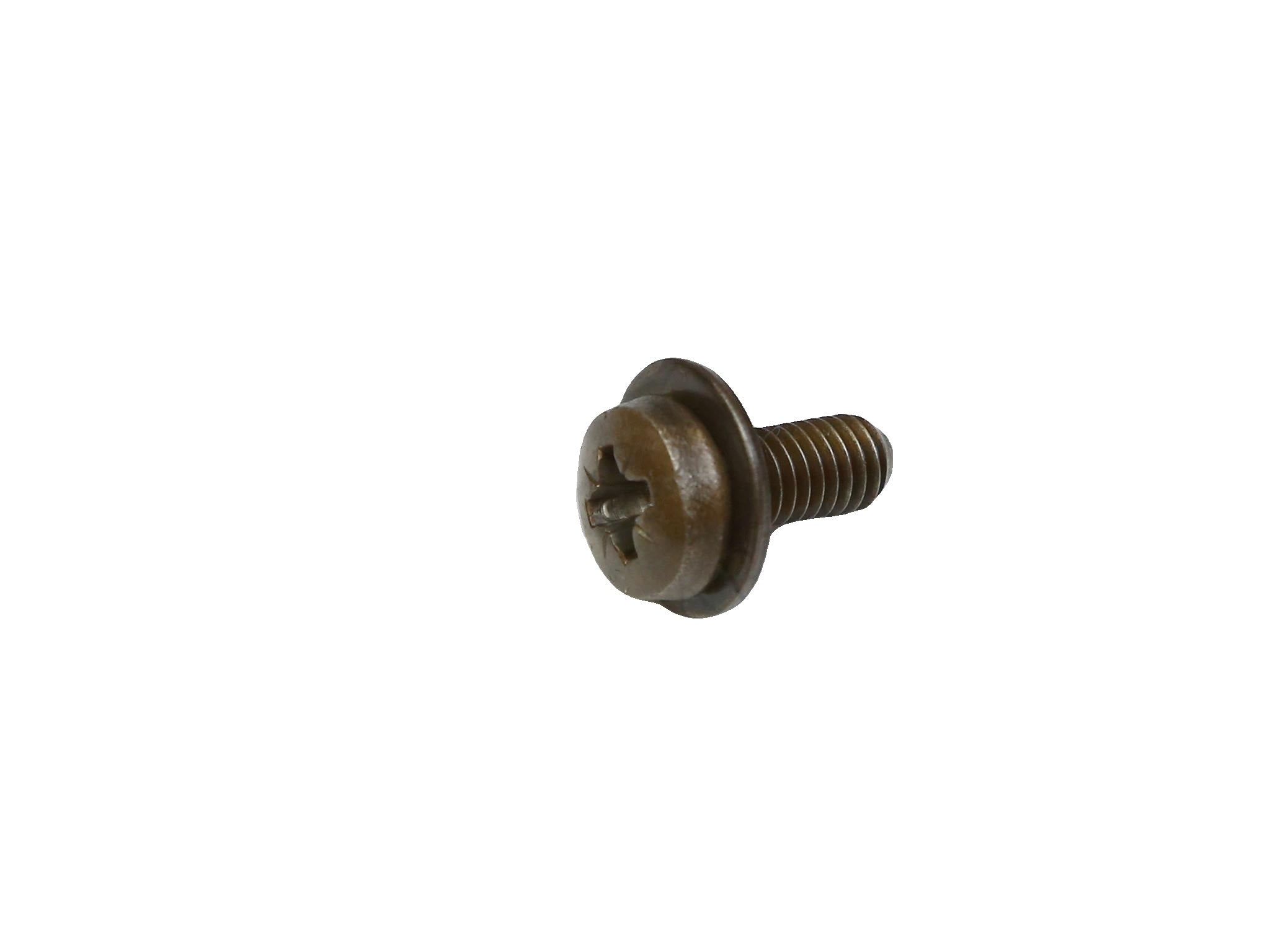 13290077 - Screw